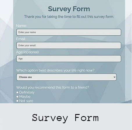 survey form
